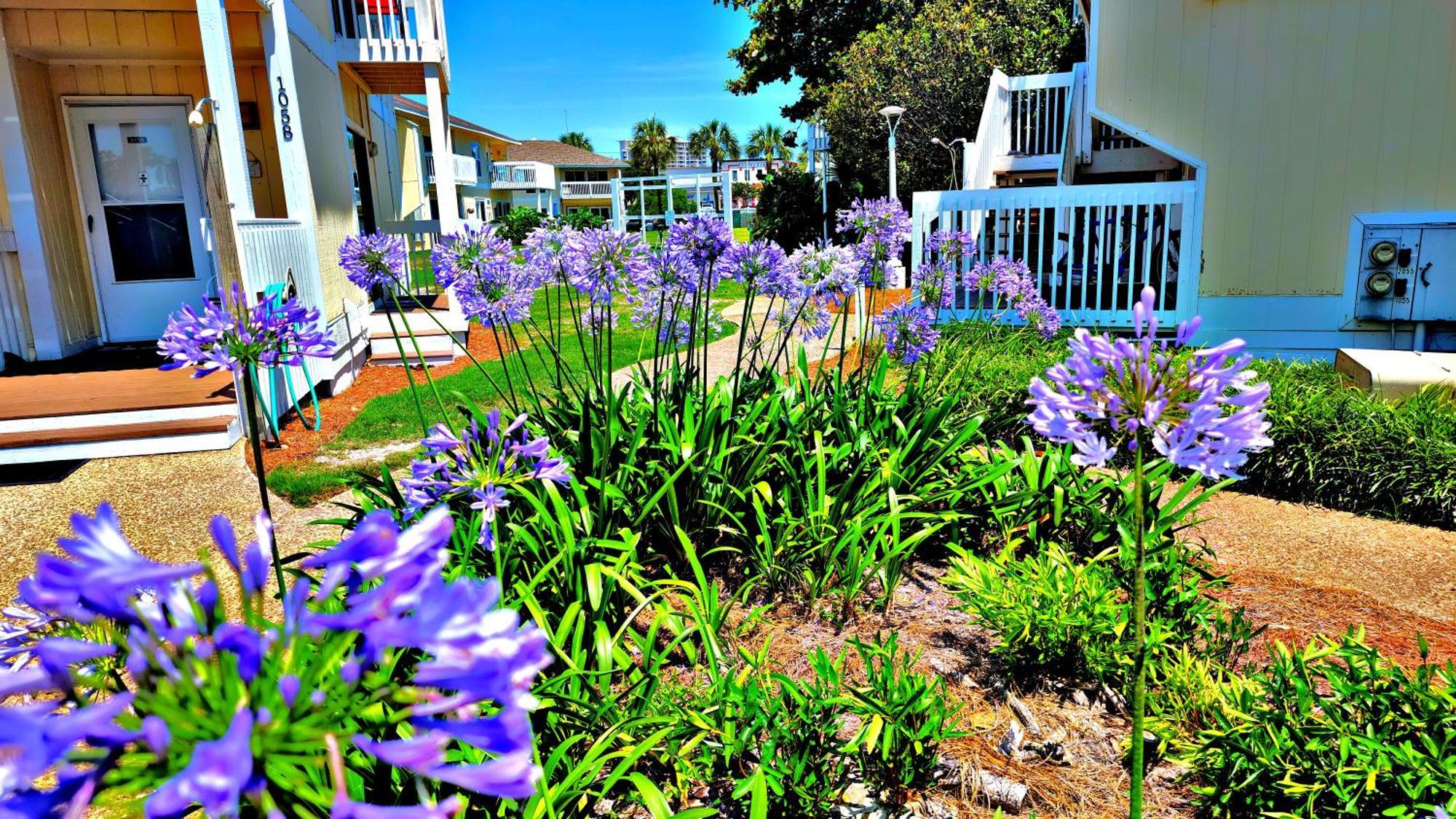 Boathouse Condo, Downtown Destin Harbor, Private Beach Access, Waterfront, On Golf Course, Water Taxi Pickup Exterior foto